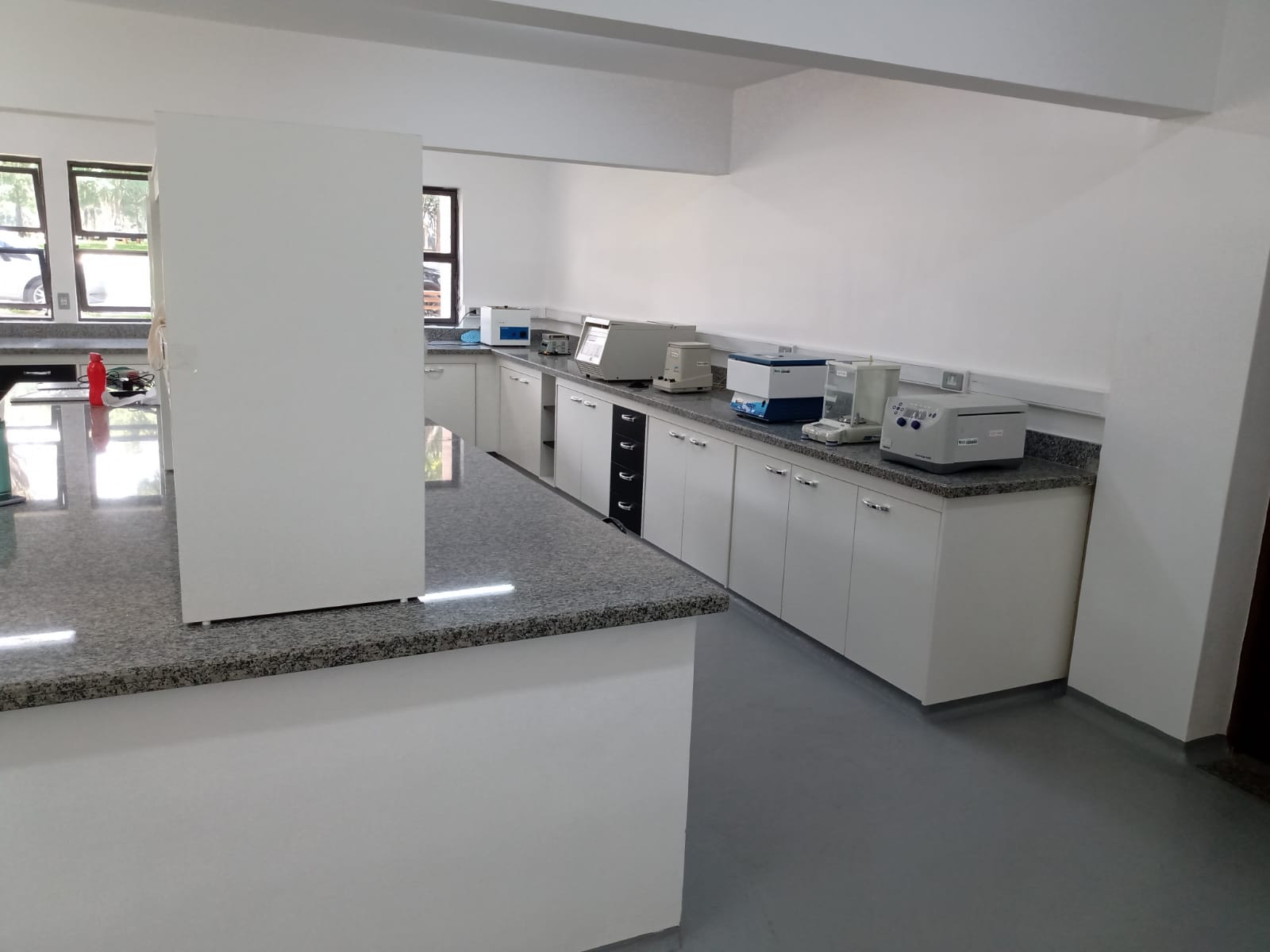 Lab_genetica_molecular