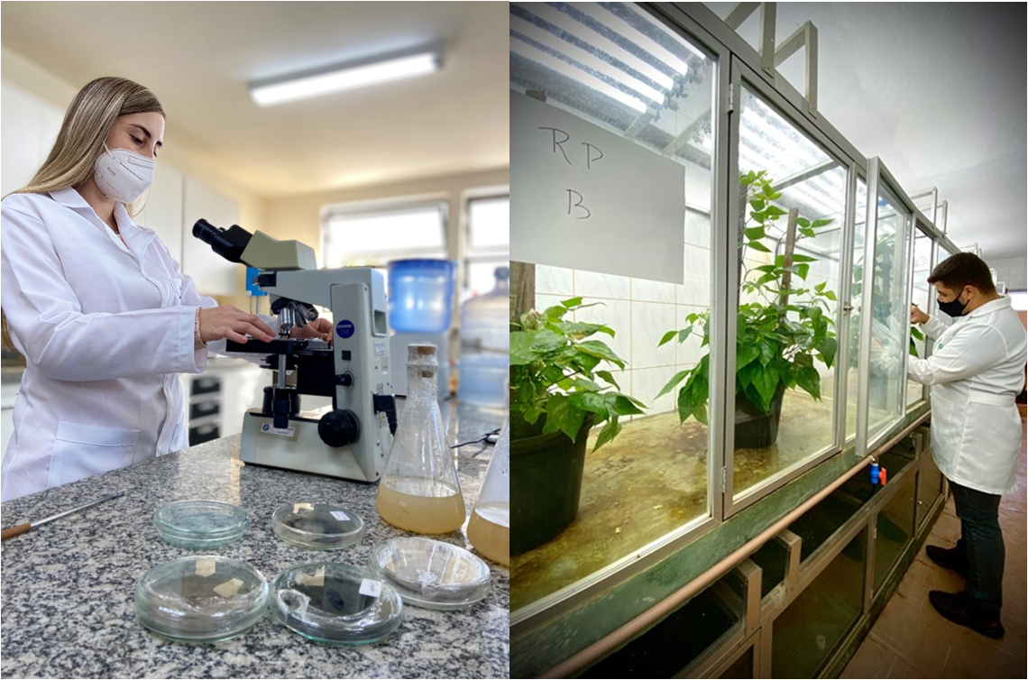 Lab_resistencia_doencas